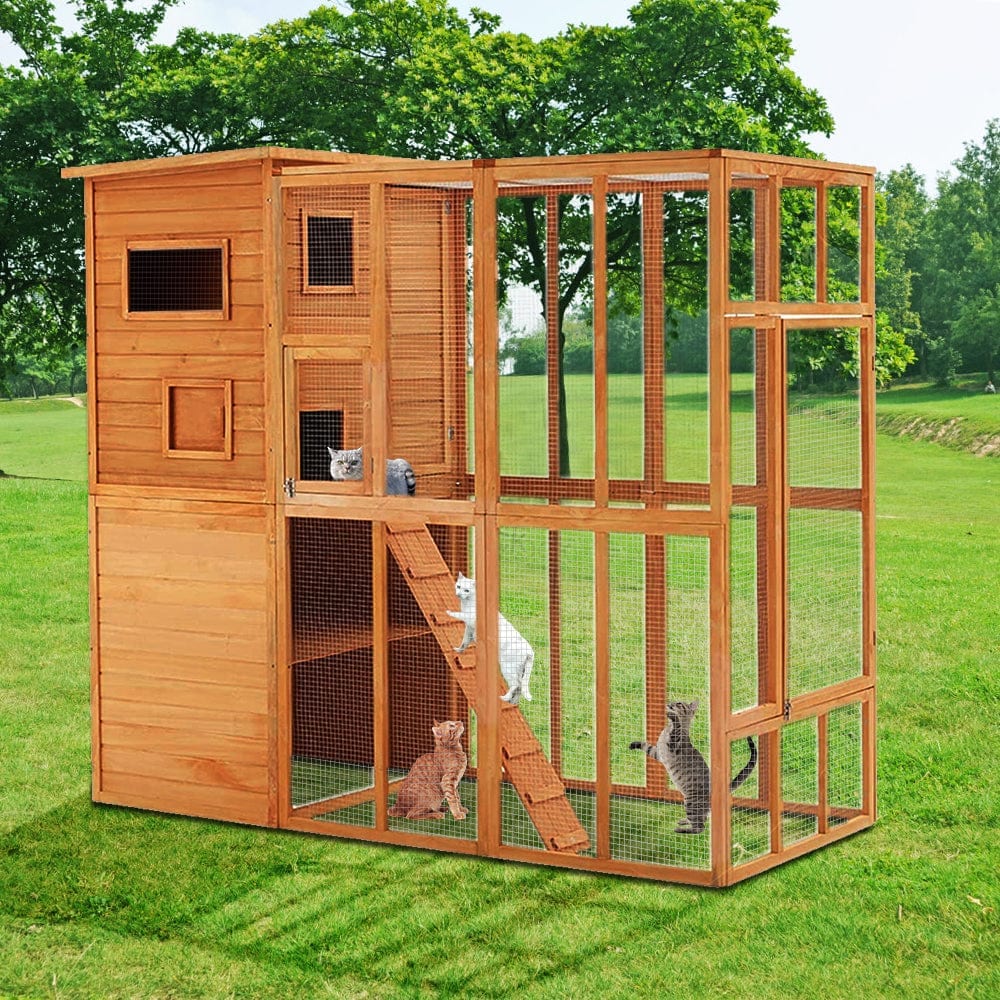 Elecwish Cat House PE1002OR